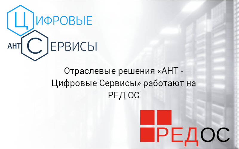 Ред решения. Отраслевые решения. Ант цифровые сервисы ПМГФ.